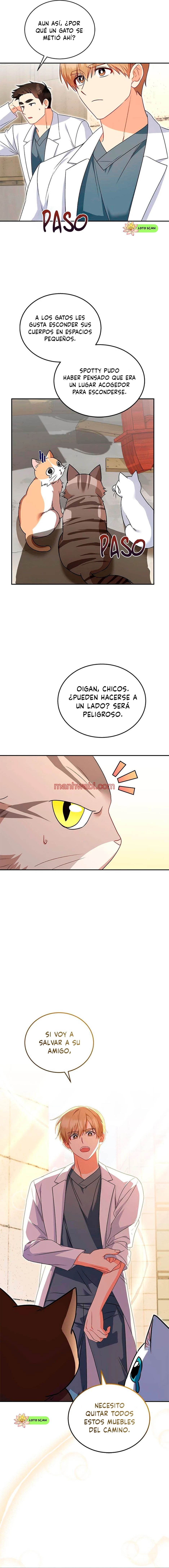 Veterinario Hola - Capítulo 25_2 manhwa