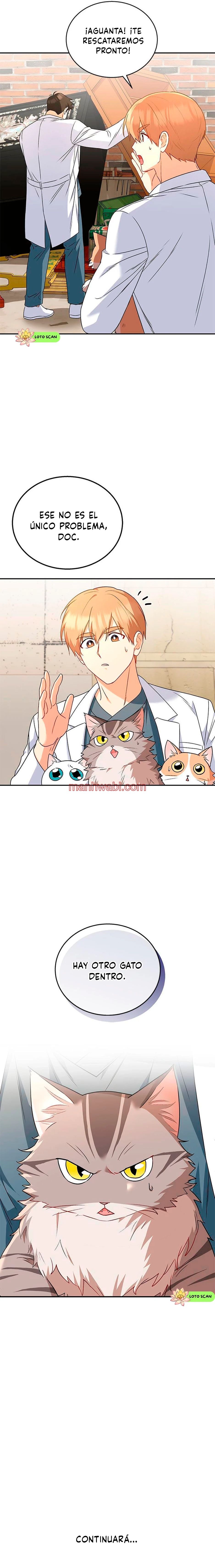 Veterinario Hola - Capítulo 25_3 manhwa