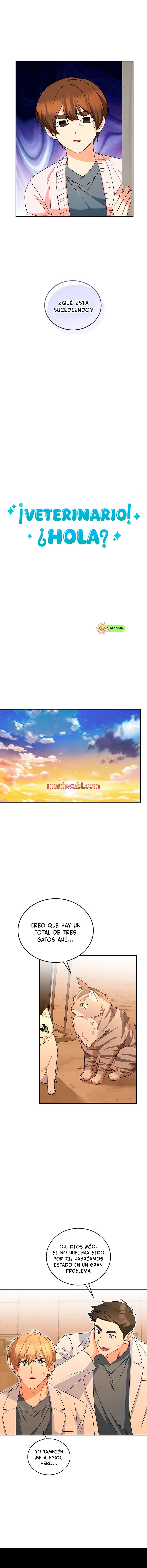 Veterinario Hola - Capítulo 26 manhwa