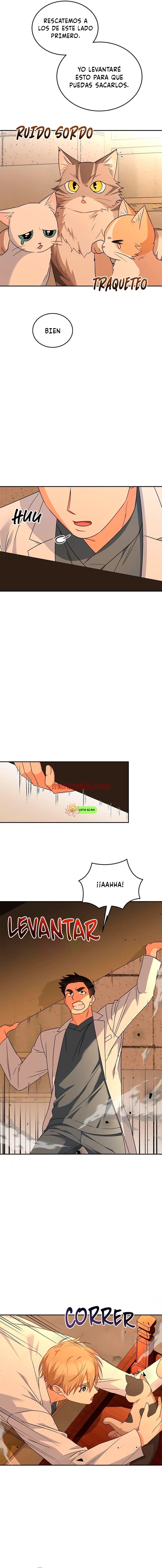 Veterinario Hola - Capítulo 26 manhwa