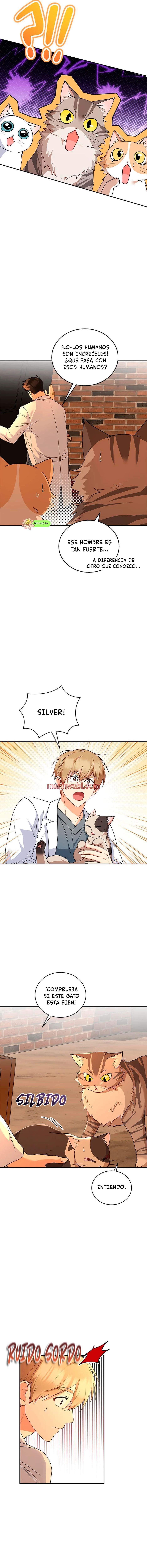 Veterinario Hola - Capítulo 26 manhwa