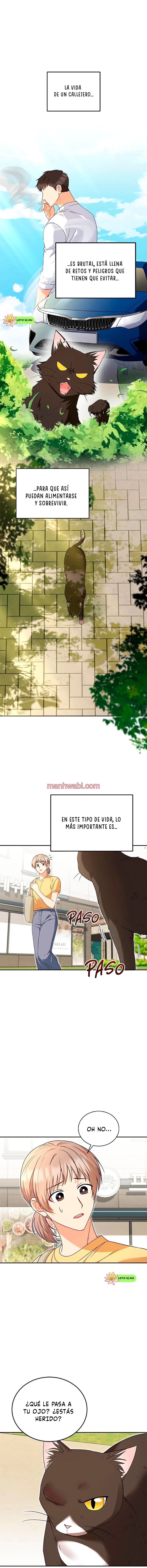 Veterinario Hola - Capítulo 27 manhwa