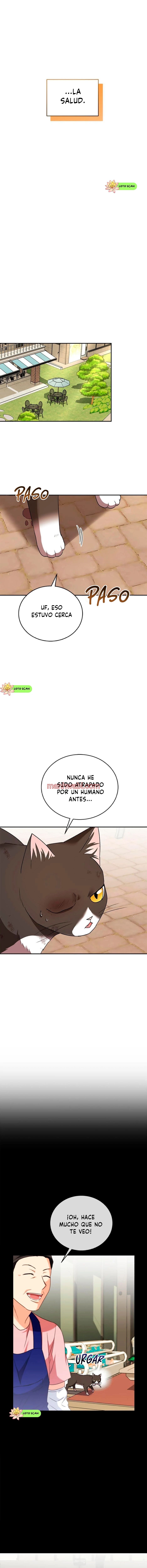Veterinario Hola - Capítulo 27 manhwa