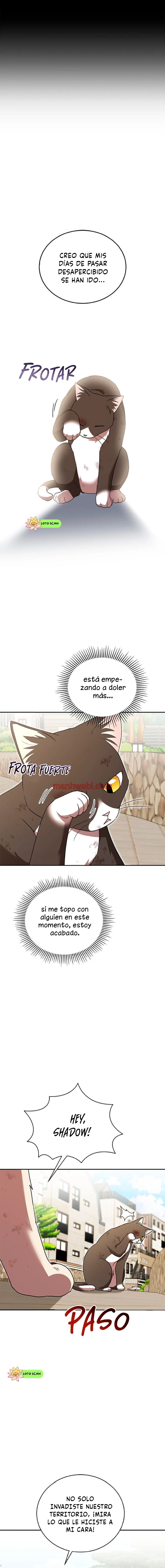 Veterinario Hola - Capítulo 27 manhwa