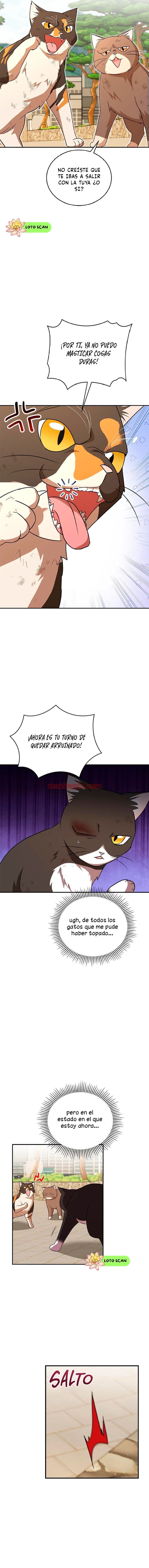 Veterinario Hola - Capítulo 27 manhwa