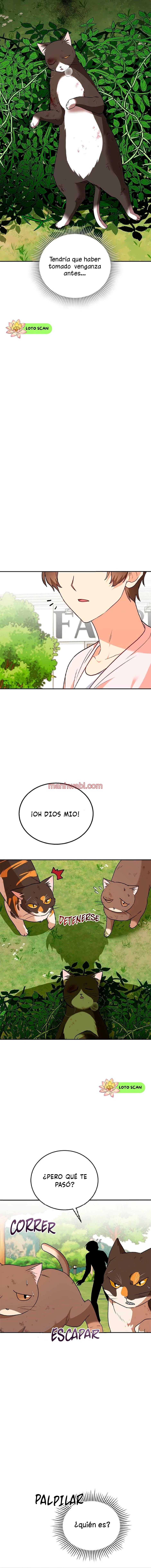 Veterinario Hola - Capítulo 27_2 manhwa