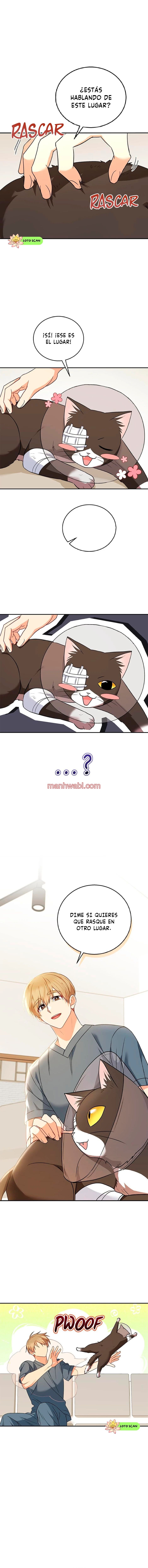 Veterinario Hola - Capítulo 27_3 manhwa