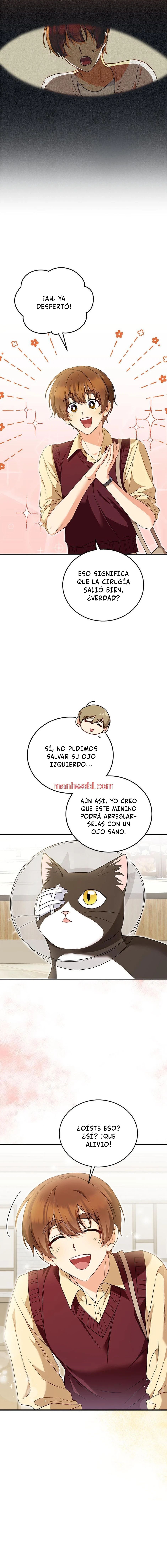 Veterinario Hola - Capítulo 28 manhwa