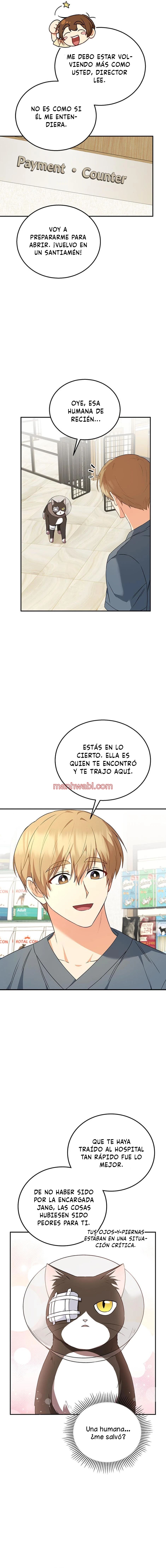 Veterinario Hola - Capítulo 28 manhwa