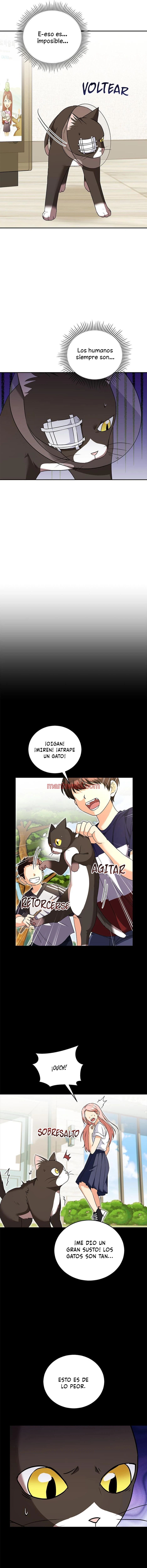 Veterinario Hola - Capítulo 28_2 manhwa
