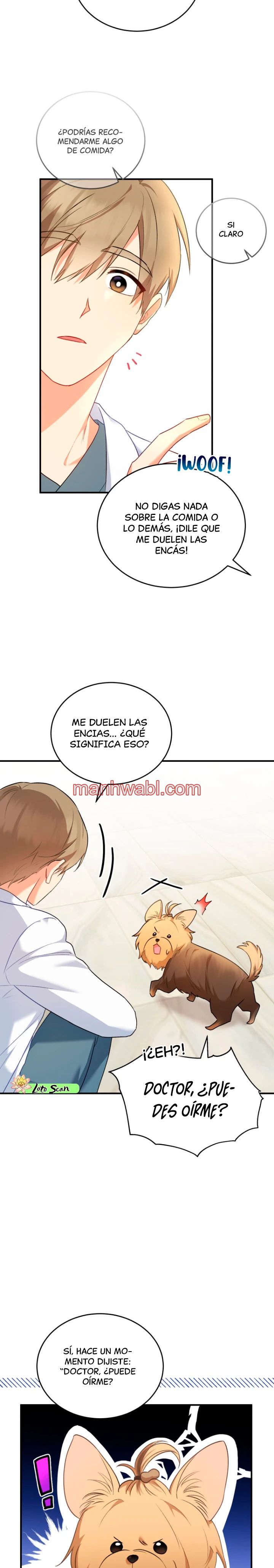Veterinario Hola - Capítulo 2_2 manhwa