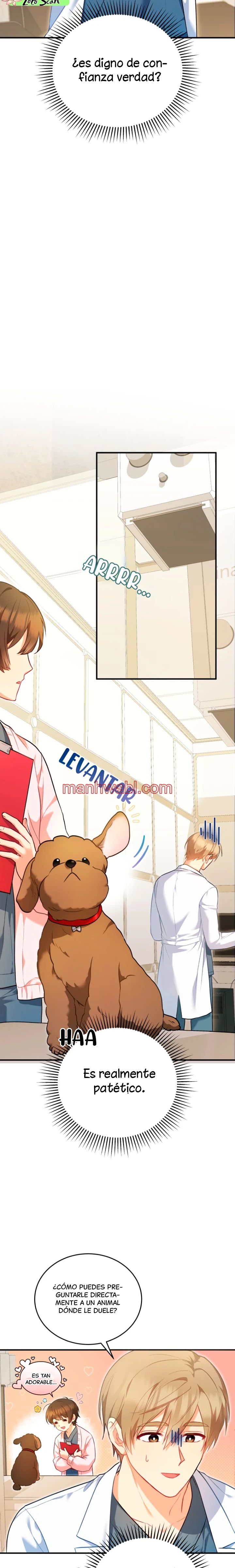 Veterinario Hola - Capítulo 3 manhwa