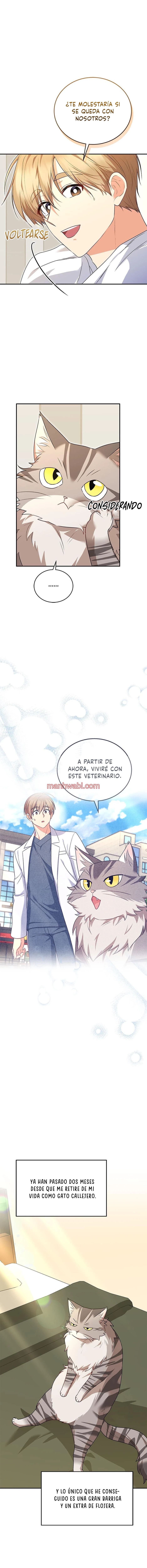 Veterinario Hola - Capítulo 30 manhwa
