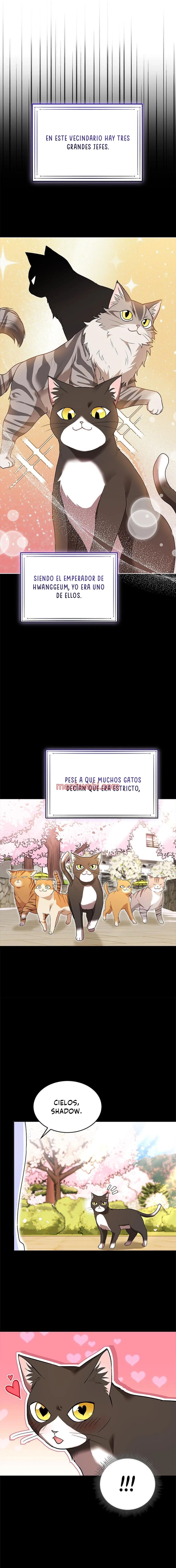 Veterinario Hola - Capítulo 30_2 manhwa