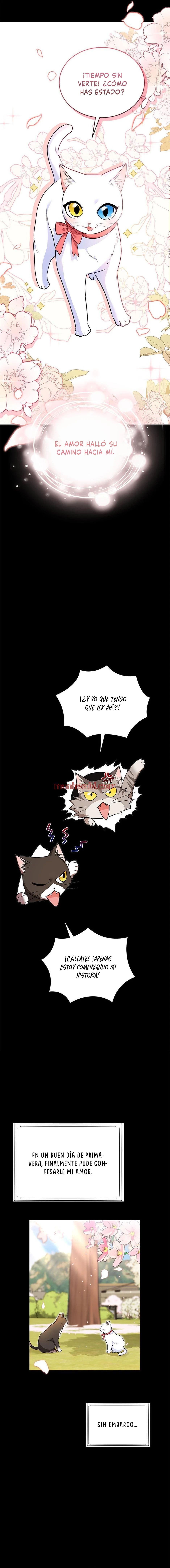 Veterinario Hola - Capítulo 30_2 manhwa