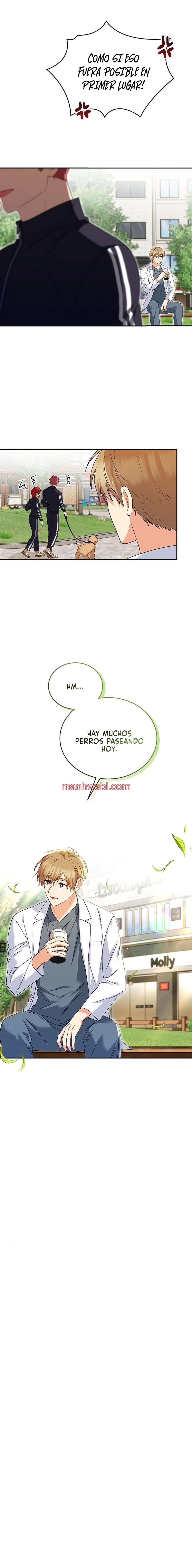 Veterinario Hola - Capítulo 31 manhwa