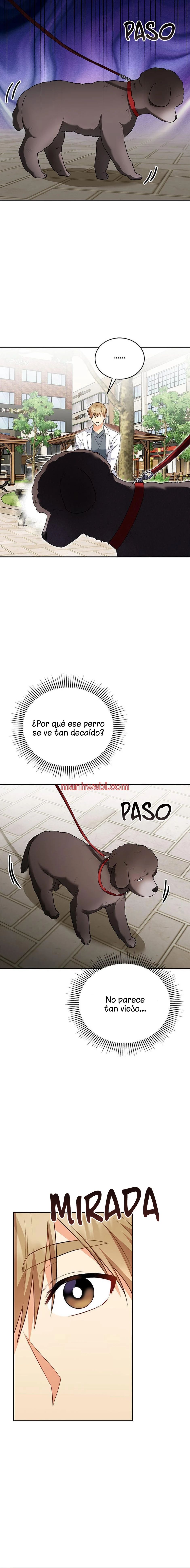 Veterinario Hola - Capítulo 31_2 manhwa