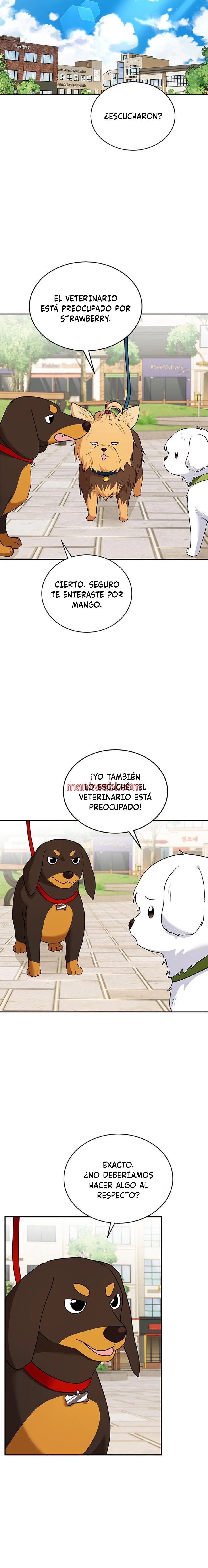 Veterinario Hola - Capítulo 31_3 manhwa