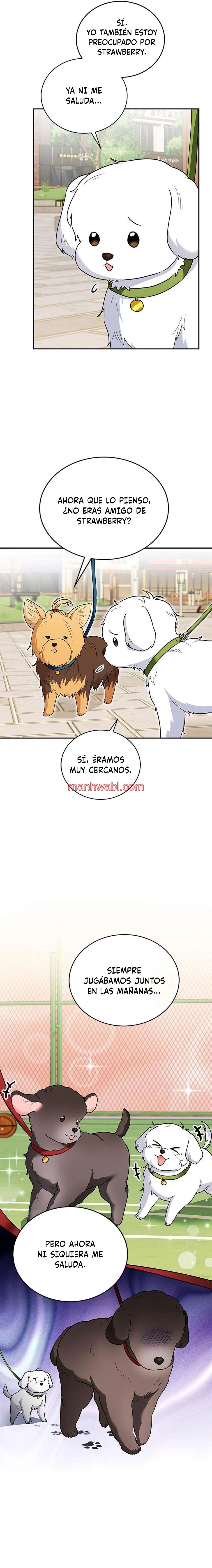 Veterinario Hola - Capítulo 31_3 manhwa