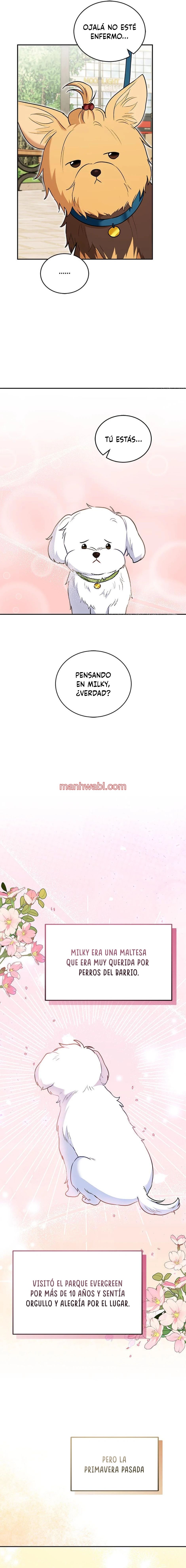 Veterinario Hola - Capítulo 31_3 manhwa