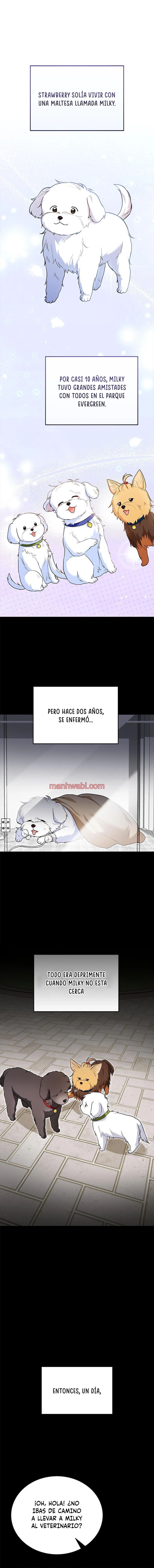 Veterinario Hola - Capítulo 32 manhwa
