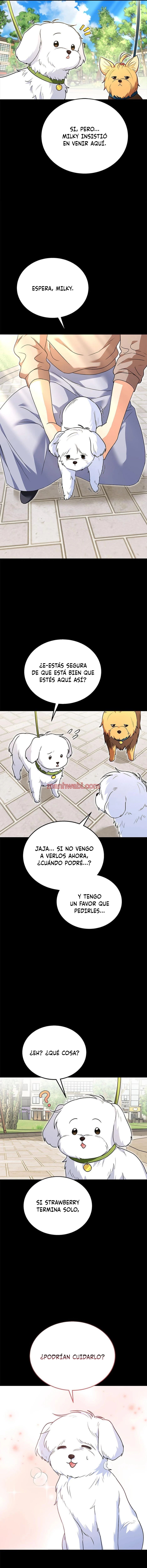 Veterinario Hola - Capítulo 32 manhwa