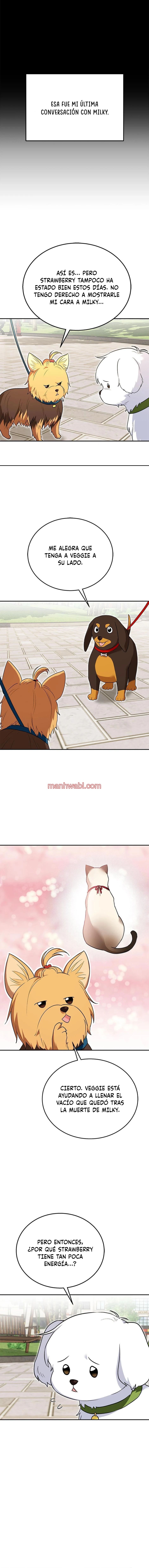 Veterinario Hola - Capítulo 32 manhwa