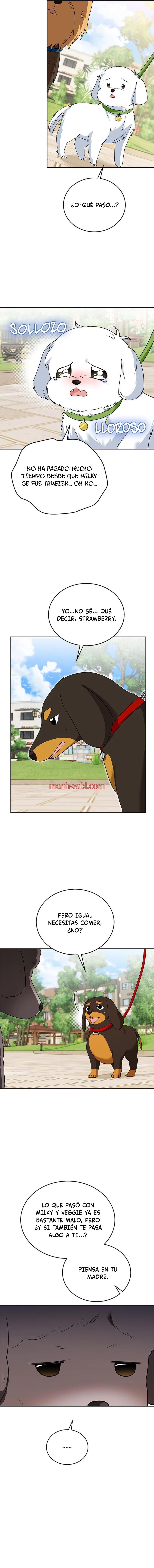 Veterinario Hola - Capítulo 32_3 manhwa