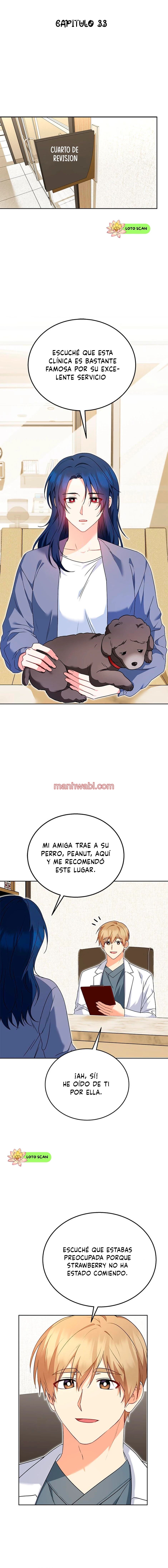 Veterinario Hola - Capítulo 33 manhwa