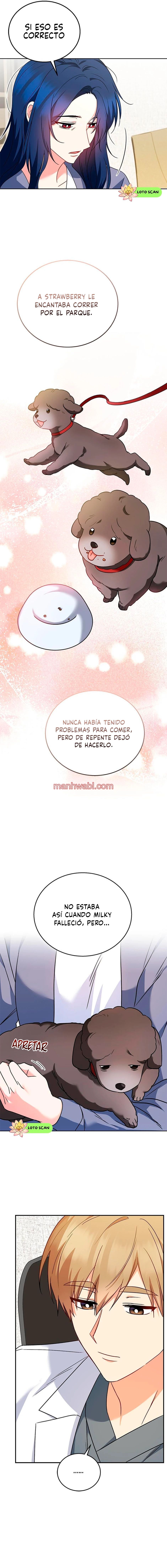 Veterinario Hola - Capítulo 33 manhwa