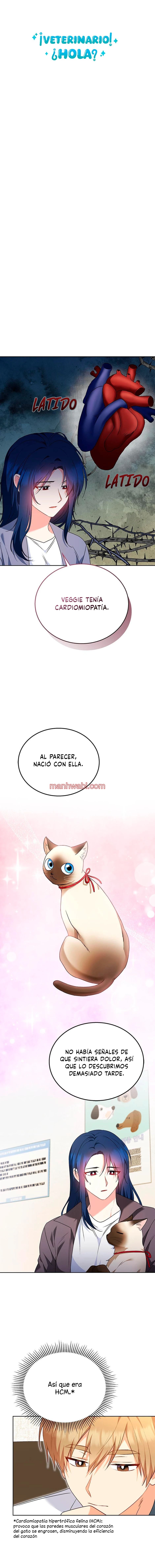 Veterinario Hola - Capítulo 33 manhwa
