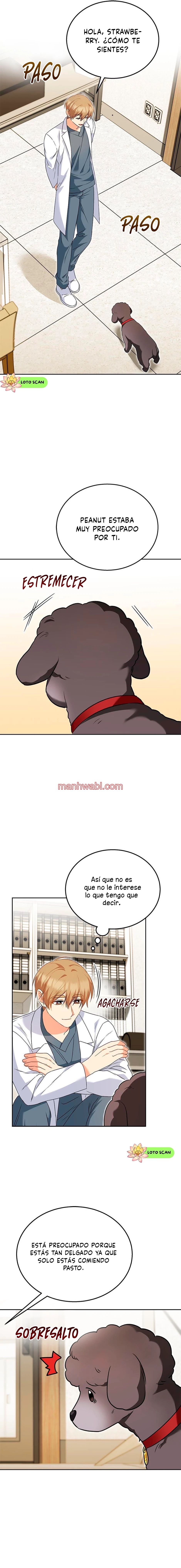 Veterinario Hola - Capítulo 33_3 manhwa
