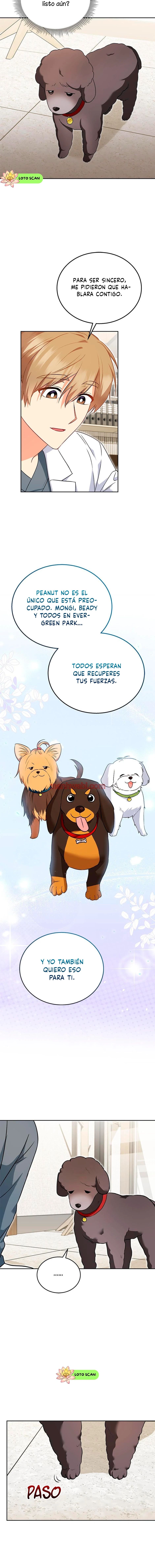 Veterinario Hola - Capítulo 33_3 manhwa