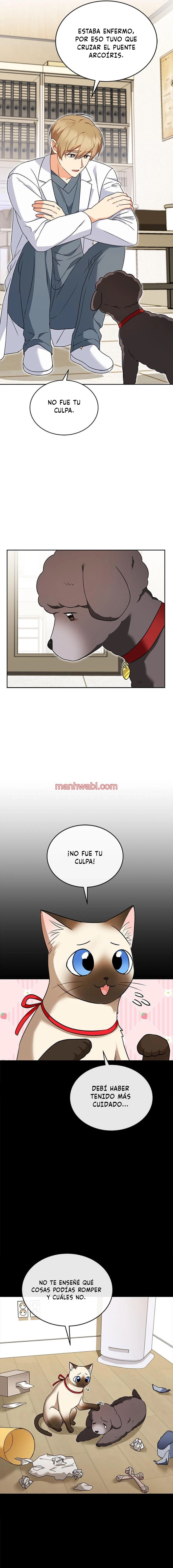 Veterinario Hola - Capítulo 34 manhwa