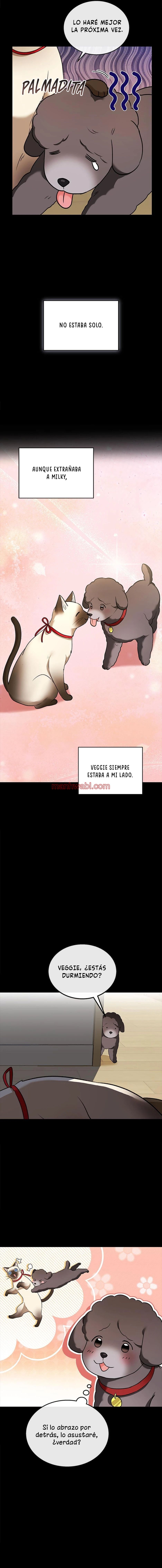 Veterinario Hola - Capítulo 34 manhwa