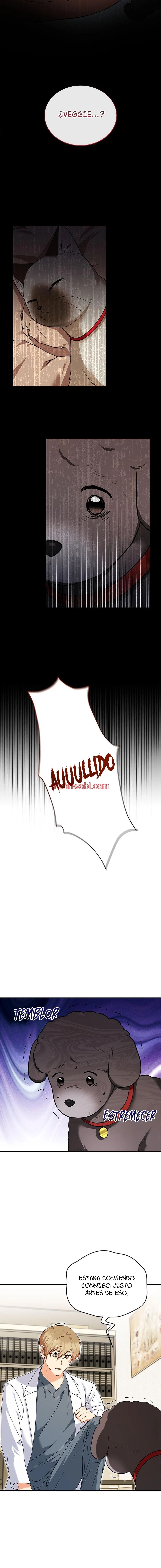 Veterinario Hola - Capítulo 34_2 manhwa