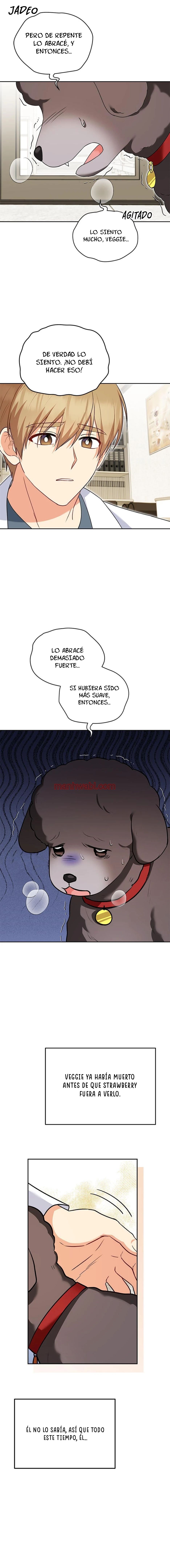 Veterinario Hola - Capítulo 34_2 manhwa