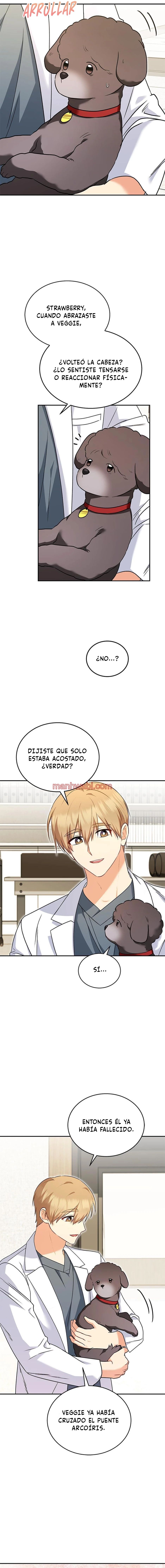 Veterinario Hola - Capítulo 34_2 manhwa