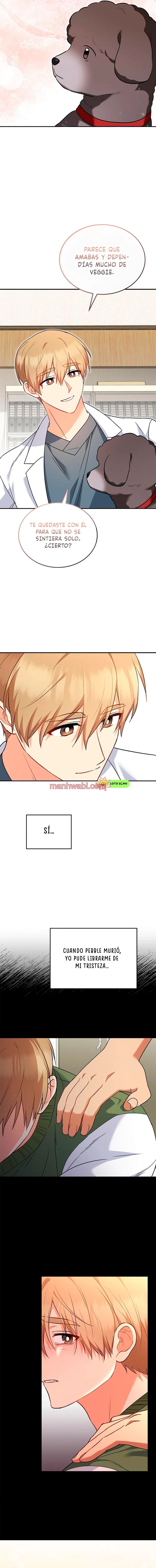 Veterinario Hola - Capítulo 34_2 manhwa