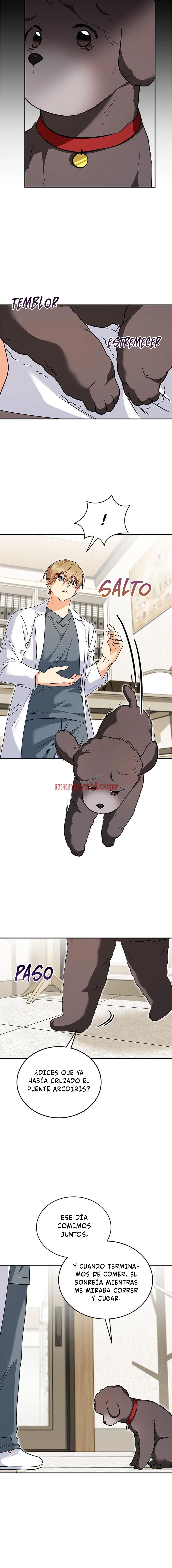 Veterinario Hola - Capítulo 34_3 manhwa