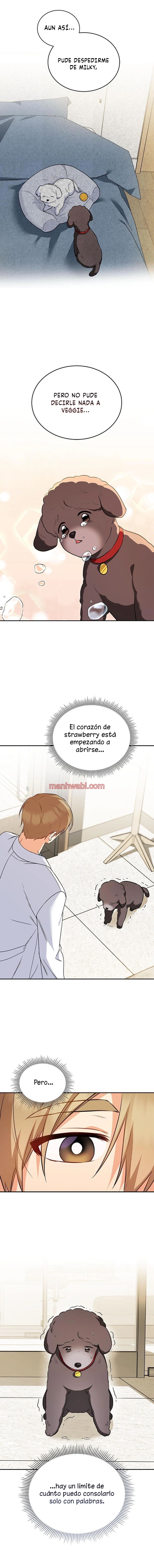 Veterinario Hola - Capítulo 34_3 manhwa