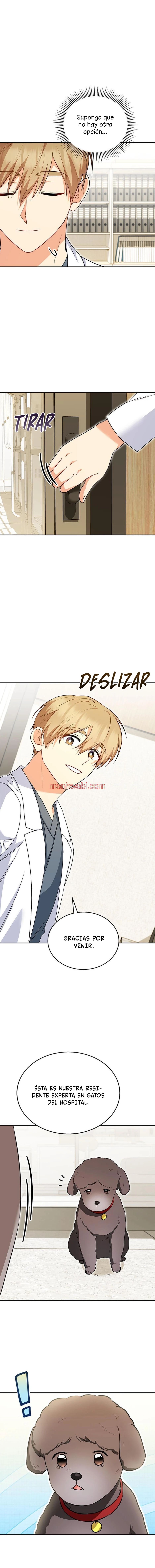 Veterinario Hola - Capítulo 34_3 manhwa