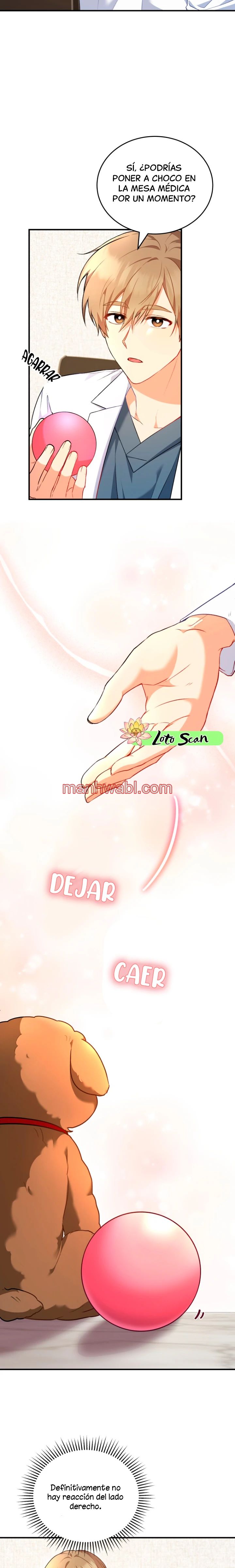 Veterinario Hola - Capítulo 3_2 manhwa