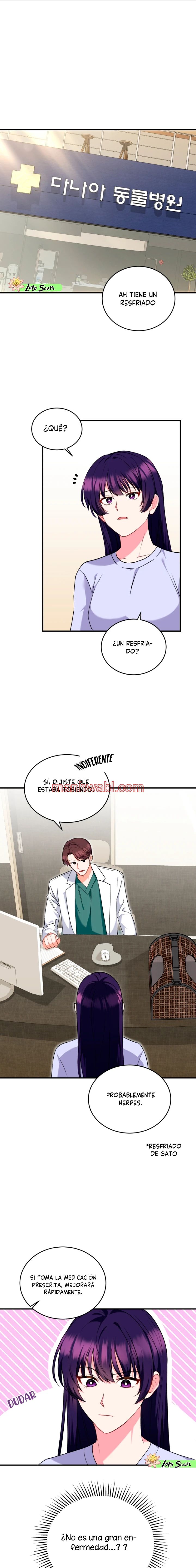 Veterinario Hola - Capítulo 4 manhwa