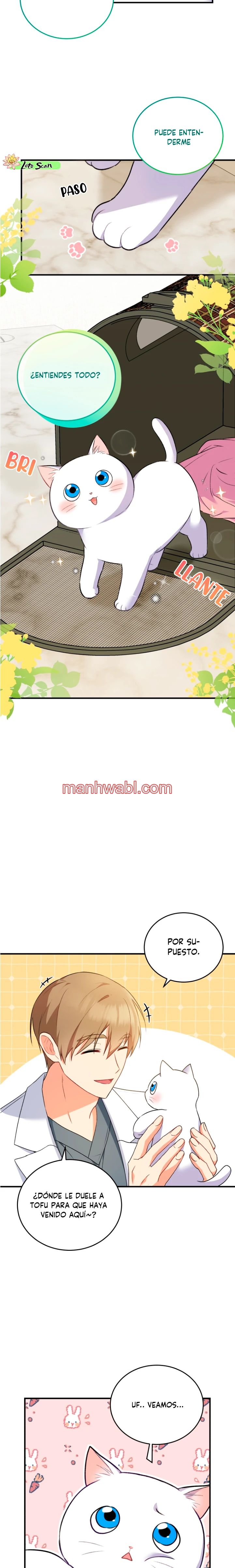 Veterinario Hola - Capítulo 4_2 manhwa