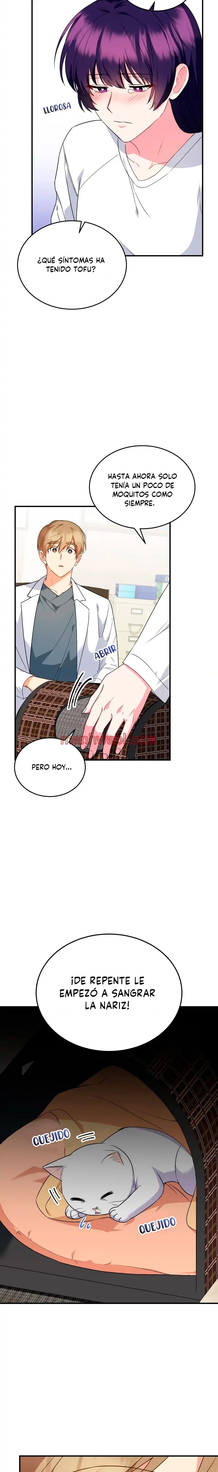 Veterinario Hola - Capítulo 5 manhwa