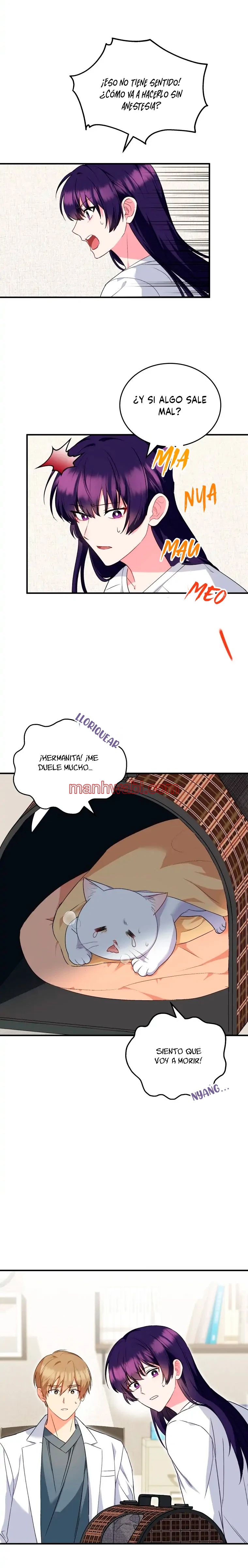 Veterinario Hola - Capítulo 5_2 manhwa