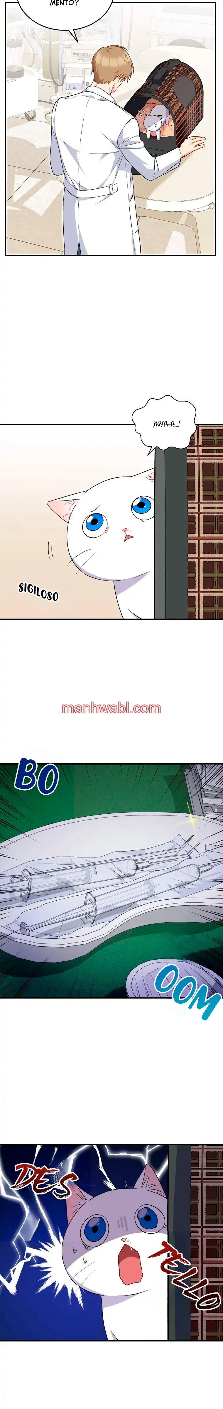 Veterinario Hola - Capítulo 5_2 manhwa