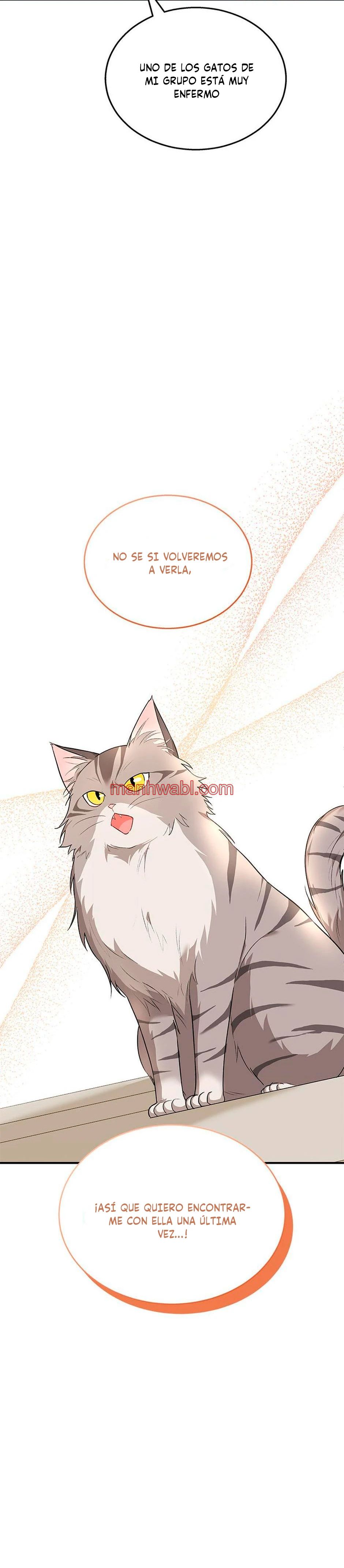 Veterinario Hola - Capítulo 7 manhwa