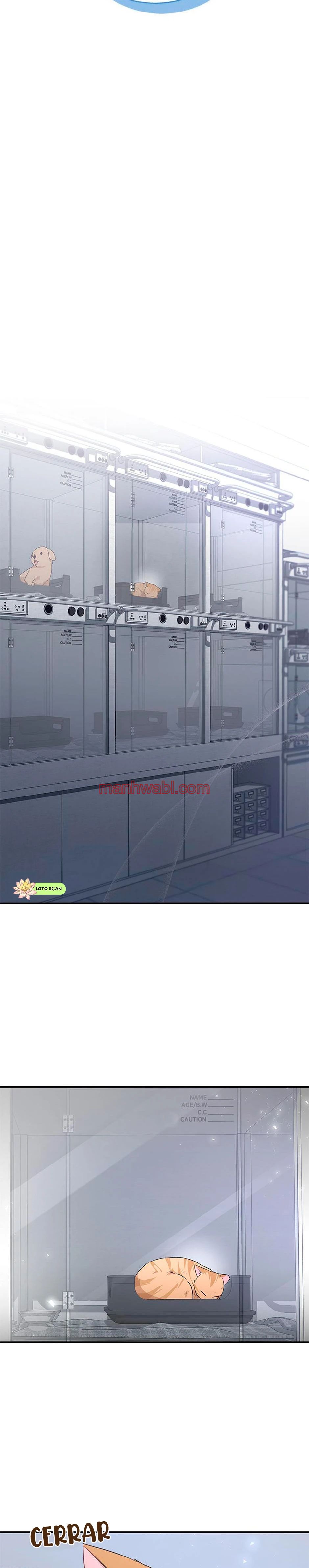 Veterinario Hola - Capítulo 7 manhwa